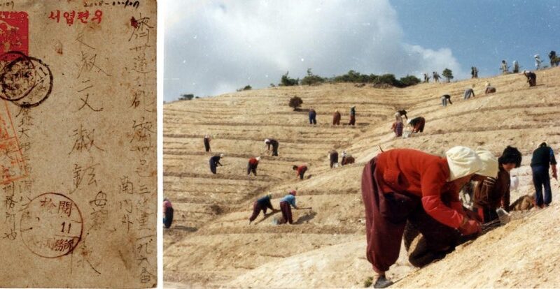 “기록이 기억이 됐다”…제주 4·3, 국가폭력과 화해기록 유네스코 세계기록유산 등재