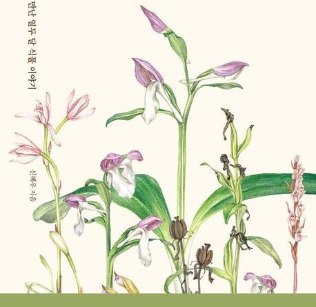 '식물학자의 숲속 일기'