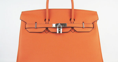 17-6 “원가는 8% 수준”…버킨백 논란에도 명품은 왜 계속 팔리나