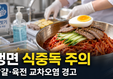 여름 별미 냉면의 ‘위험한 고명’…달걀·육전이 살모넬라 통로 될 수 있어