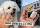 지인 집 갔다가 소형견에 물려 손가락 절단… ‘개물림 사고’ 주의